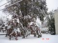NJ_NY 225